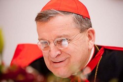 27 septembre : le cardinal Burke à Notre-Dame de Paris